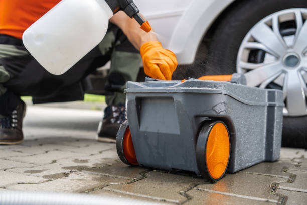 Reliable Presidio, TX Tree Removal Solutions